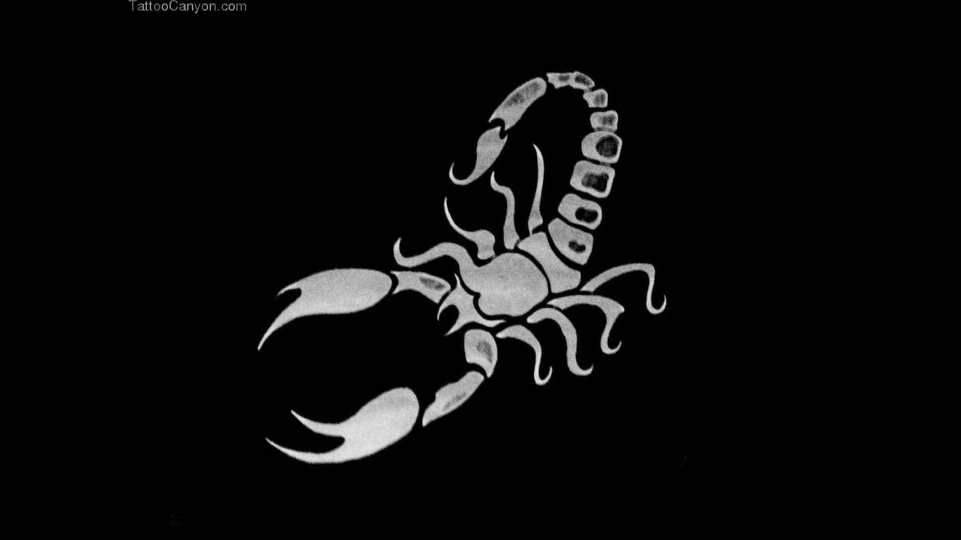 Scorpio 桌布 壁紙 — 一隻風格化的白色蠍子剪影，帶有詳細的節段和彎曲的爪子，在純黑色背景上脫穎而出。