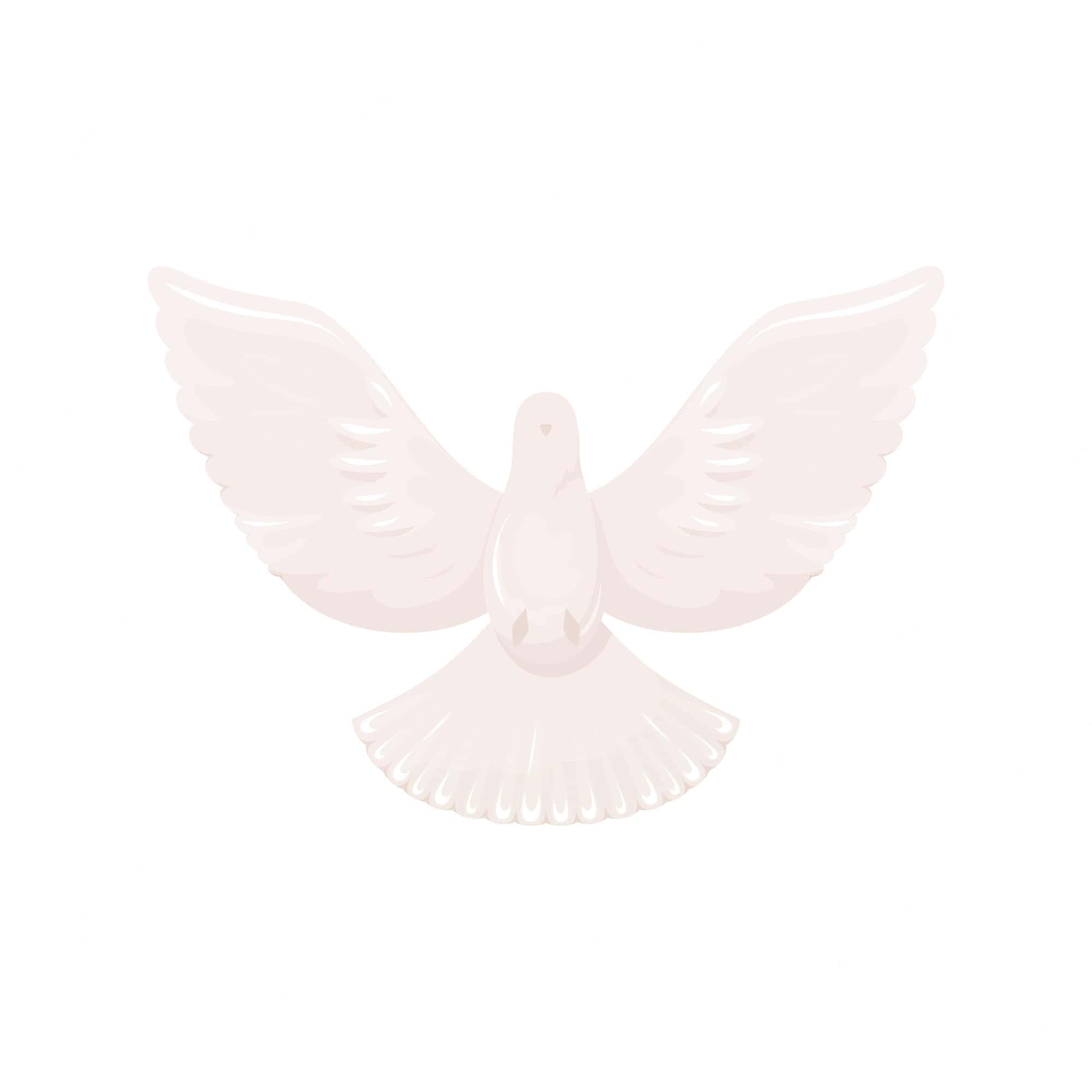 Dove Wings 桌布 壁紙 — 一隻風格化的白鴿展開翅膀，在純色背景上優雅地滑翔。