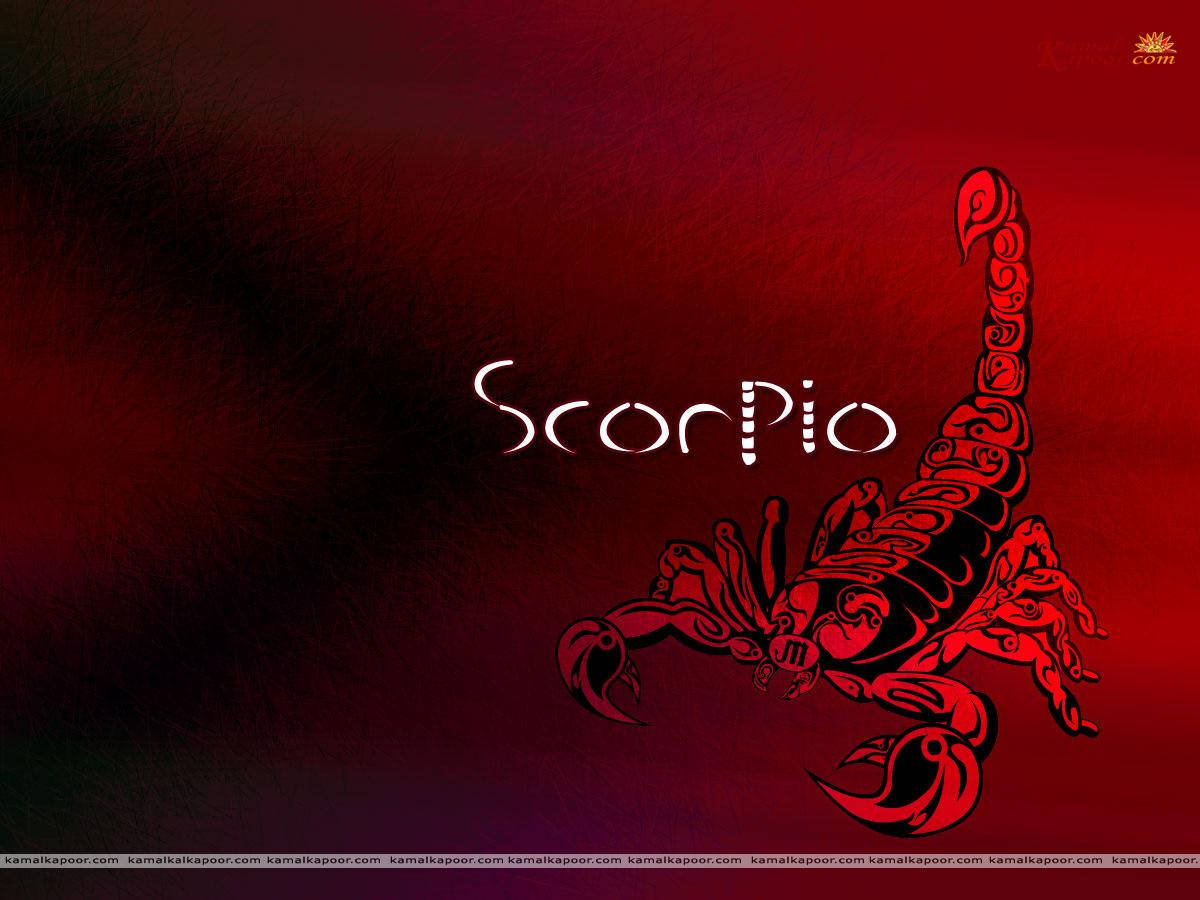 紅色華麗蠍子插圖，帶有'Scorpio'文字，背景為深紅色漸變。