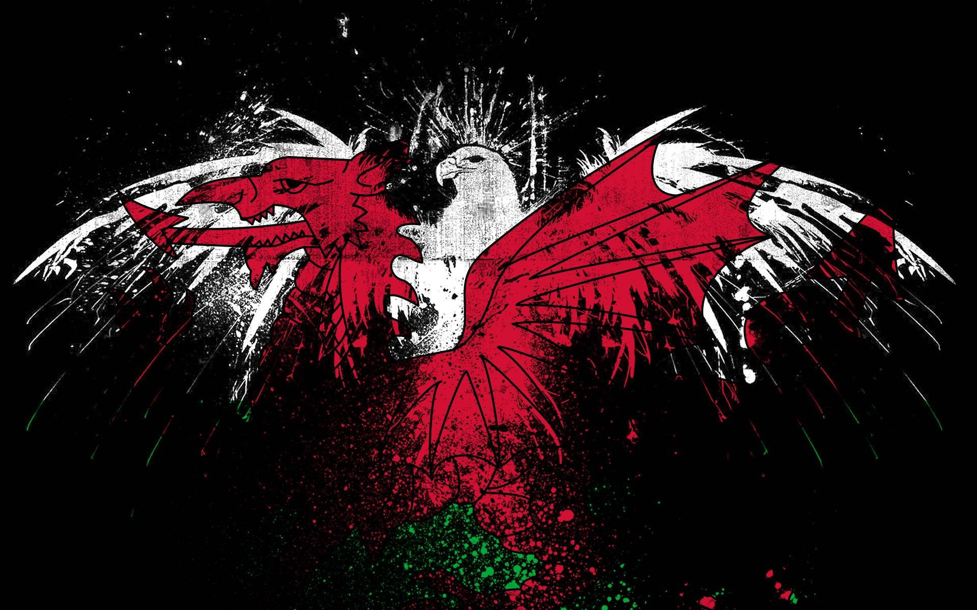 Palestine 桌布 壁紙 — 一隻風格化的紅色龍，帶有白色翅膀和綠色飛濺，在帶有垃圾紋理的黑色背景上爆發。