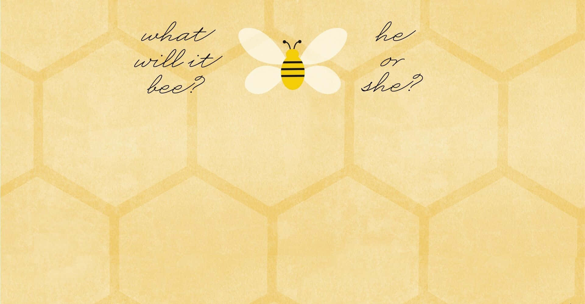 Bee 桌布 壁紙 — 一隻風格化的蜜蜂漂浮在蜂巢上，帶有俏皮的文字問它會變成什麼，以及他還是她？