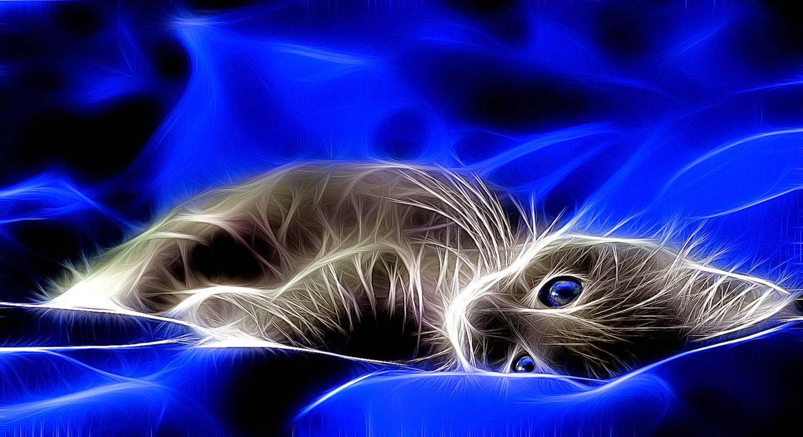 一隻發光的藍眼貓咪，被電藍色能量波環繞。