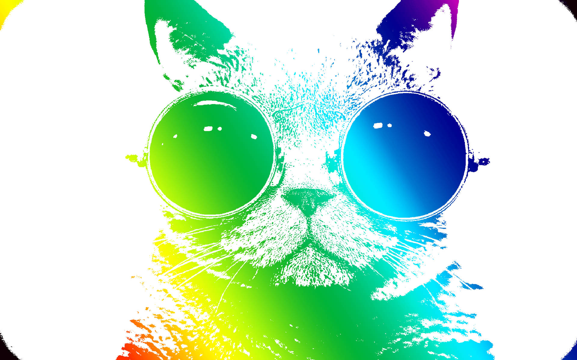 酷貓 桌布 壁紙 — 一隻風格化的貓咪戴著超大太陽眼鏡，鏡片帶有彩虹漸變效果，背景為白色。