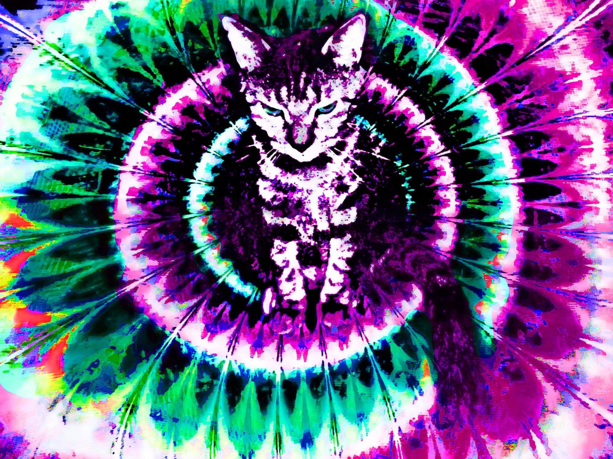 Trippy Animals 桌布 壁紙 — 一隻風格化的貓坐在迷幻紮染爆炸的中心，帶有霓虹粉紅、綠色和藍色色調。