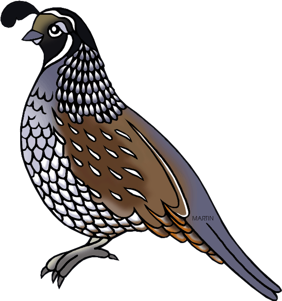 Quail 桌布 壁紙 — 一隻風格化的鵪鶉，帶有鱗片狀的白色和棕色羽毛，站在純黑色背景上。