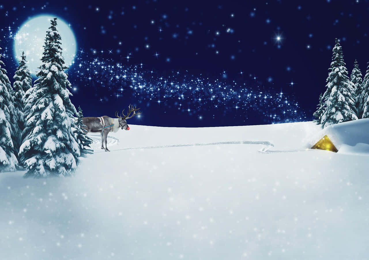雪 桌布 壁紙 — 一隻馴鹿站在白雪覆蓋的冬季森林中，明亮的月亮和閃爍的星星下，附近有一個發光的帳篷。