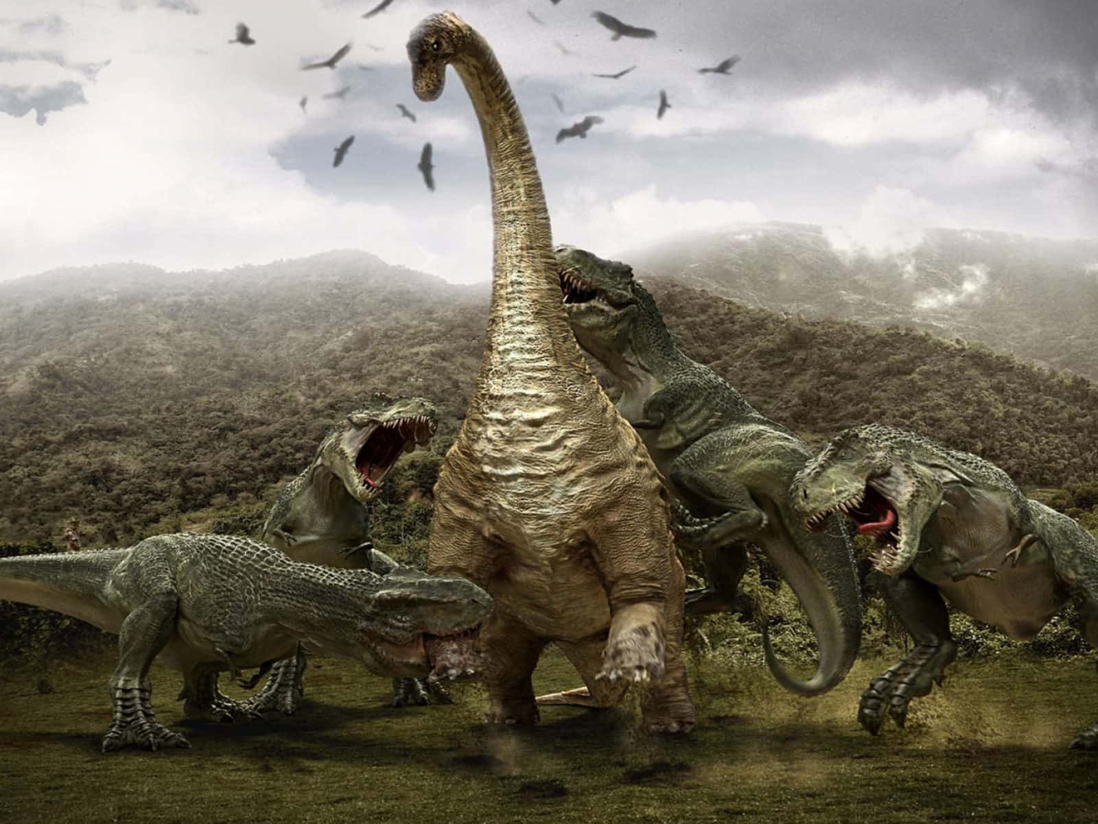 3d Dinosaur 桌布 壁紙 — 一隻高大的蜥腳類恐龍在雲霧繚繞的山谷中，被四隻迅猛龍包圍，仍然堅定地站立著。