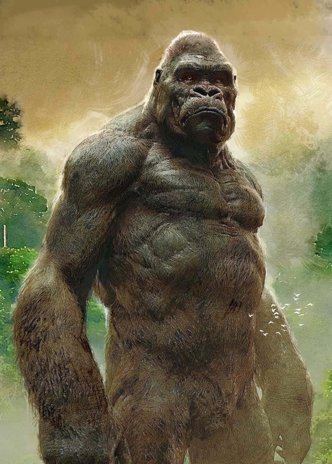 Gorilla 桌布 壁紙 — 一隻高大肌肉發達的大猩猩站在迷霧叢林中，在朦朧的金色天空下帶著嚴厲的目光。