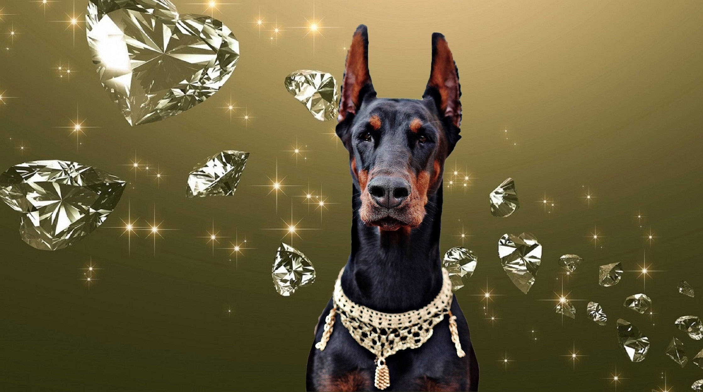 Dog Desktop 桌布 壁紙 — 一隻高貴的杜賓犬佩戴著金鏈項圈，站在浮動的鑽石和閃爍的星星之間，背景是金色漸變。