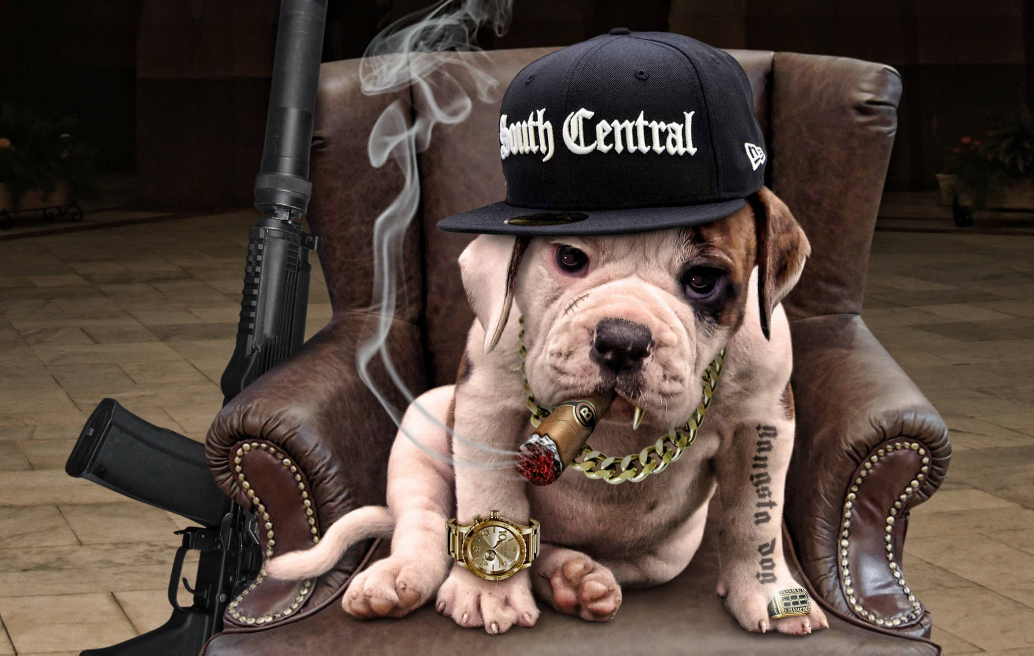 Bulldog 桌布 壁紙 — 一隻鬥牛犬幼犬戴著「South Central」帽和金鏈，坐在皮扶手椅上，旁邊放著一支步槍，抽著雪茄。