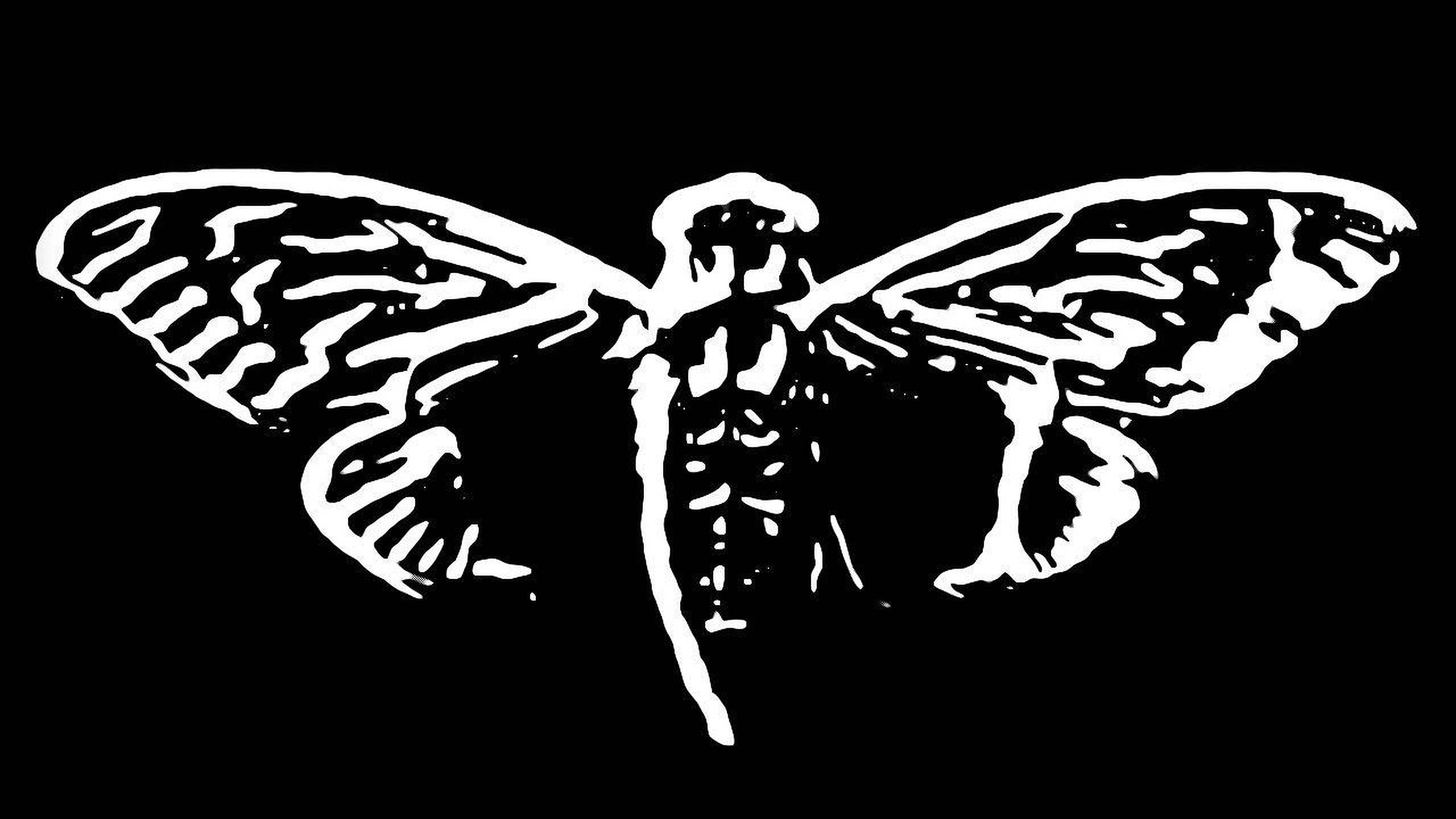 Cicada 桌布 壁紙 — 一隻鮮明的白色風格化昆蟲，帶有精細的翅膀和分節身體，在純黑色背景上突出。