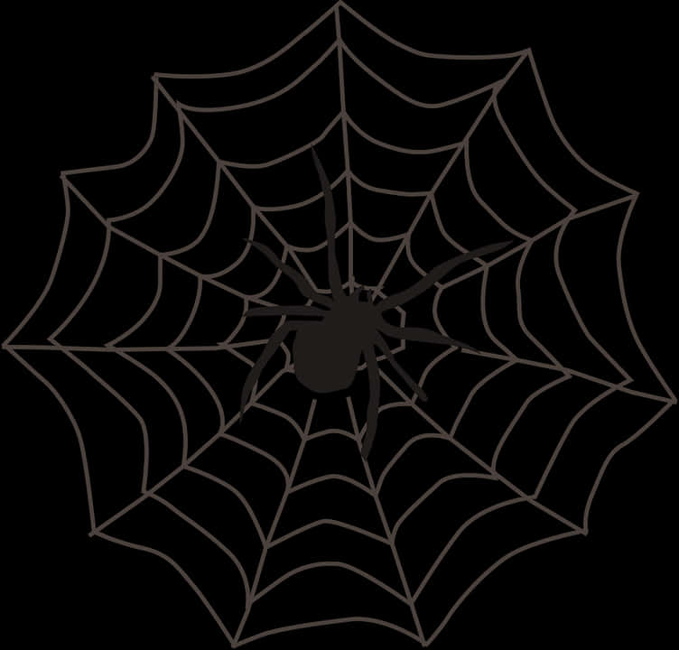 Spiderman Web 桌布 壁紙 — 一隻鮮明的黑色蜘蛛坐在一個細節豐富的蜘蛛網中央，背景為純黑色。