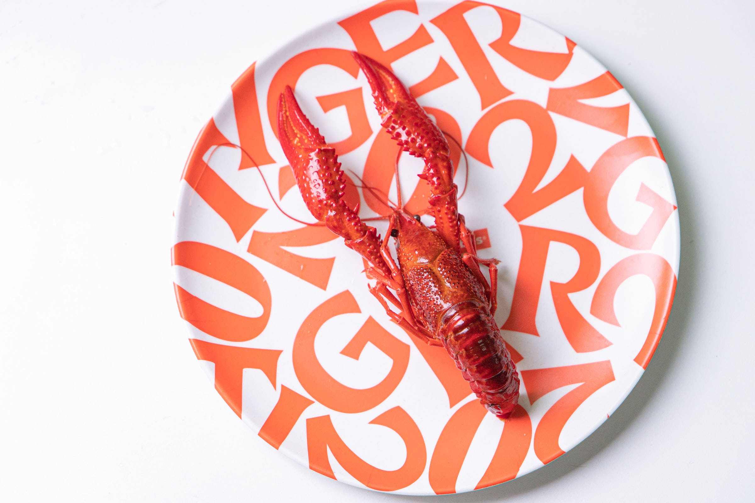 Lobster 桌布 壁紙 — 一隻鮮紅的小龍蝦放在一個白色盤子上，盤子上印有粗體橙色 'BURGER' 字樣。