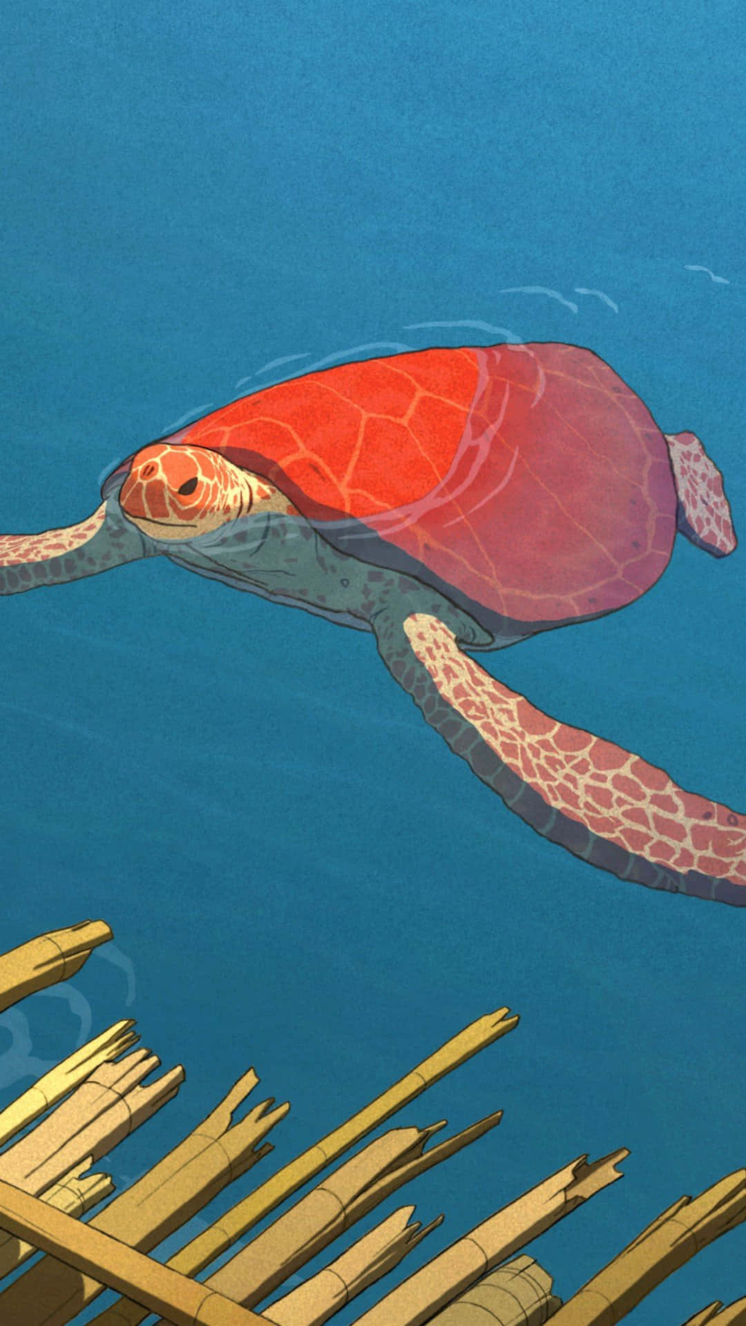 The Red Turtle 桌布 壁紙 — 一隻鮮紅色的海龜在陽光照射的竹筏上方，優雅地滑過深藍色的海水。