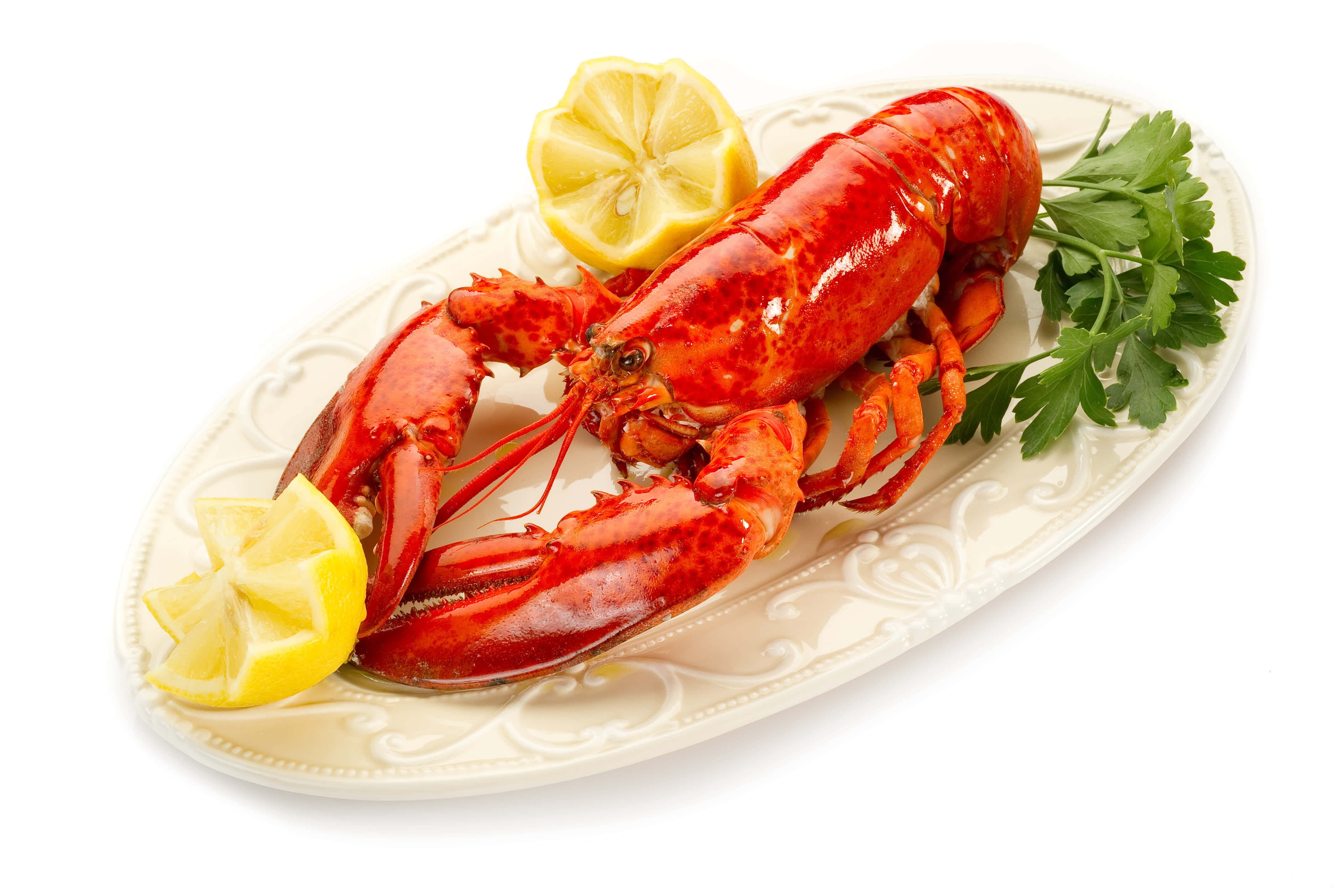 Lobster 桌布 壁紙 — 一隻鮮紅色的熟龍蝦，飾以檸檬角和歐芹，優雅地擺放在一個奶油色的裝飾盤上。