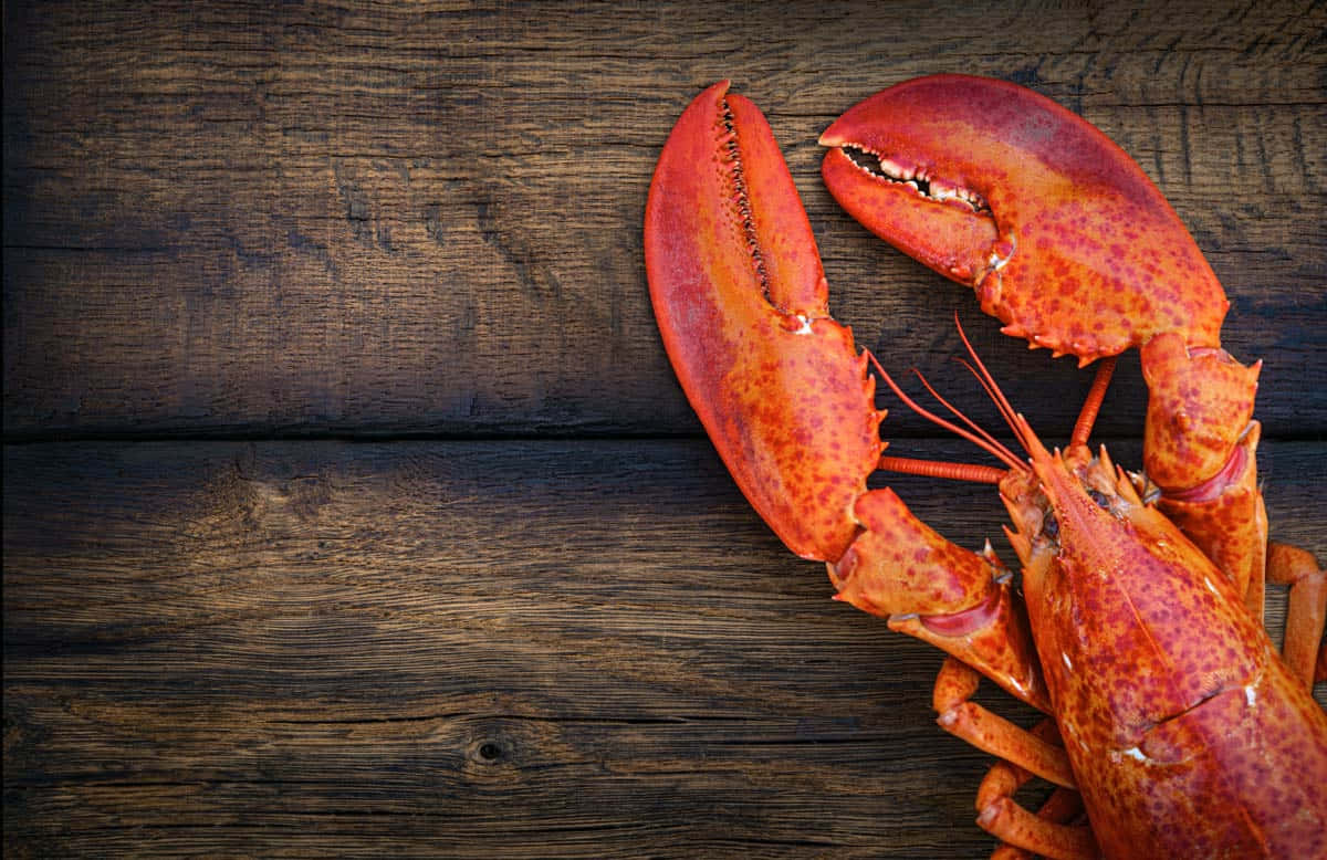 Lobster 桌布 壁紙 — 一隻鮮紅色的熟龍蝦放在深色質樸的木質表面上，帶有豐富的木紋紋理。