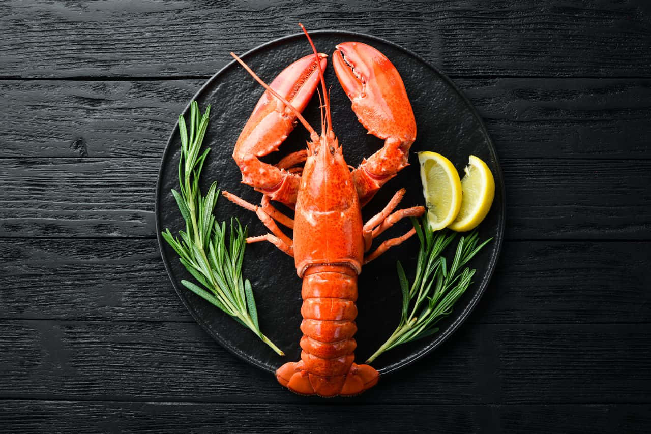 Lobster 桌布 壁紙 — 一隻鮮紅色的熟龍蝦放在黑色盤子中央，配上檸檬角和迷迭香枝，背景為深色木質。