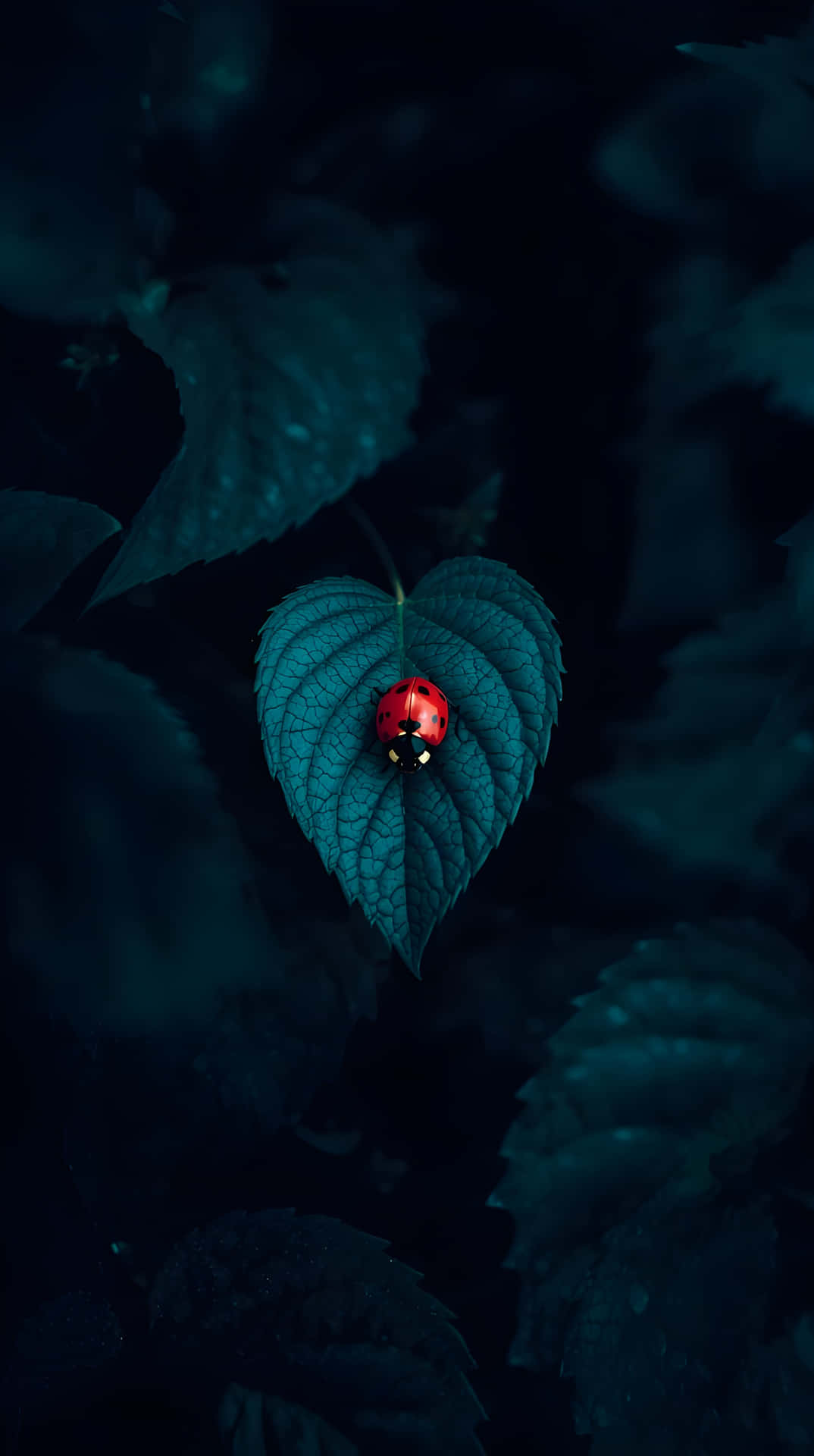 Ladybug on a Deep Teal Leaf 壁紙 — 一隻鮮紅色的瓢蟲停在單片青綠色葉子的中央，背景是黑暗模糊的樹葉。