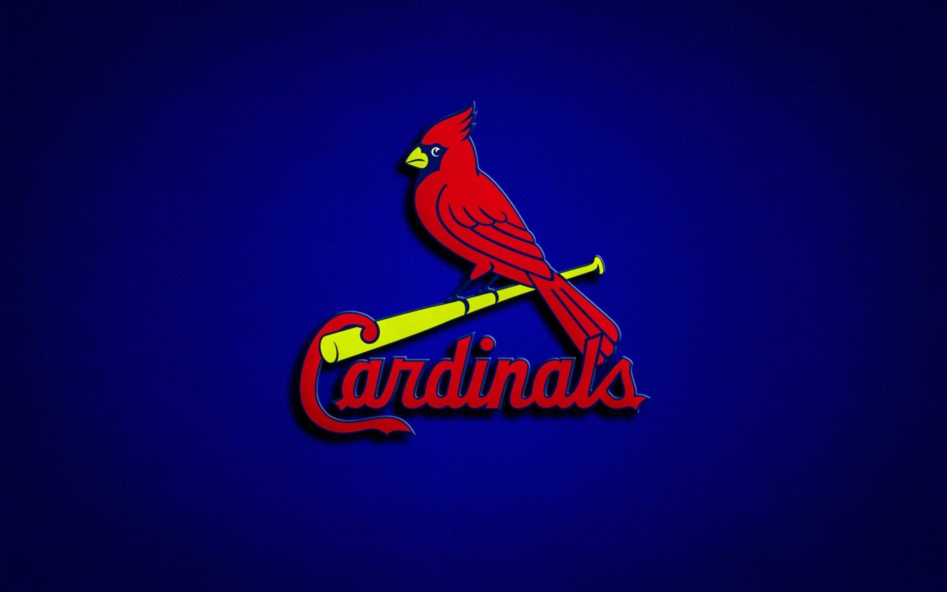 Cardinals 桌布 壁紙 — 一隻鮮紅色的紅雀棲息在黃色棒球棒上，背景為深藍色，下方寫有「Cardinals」。
