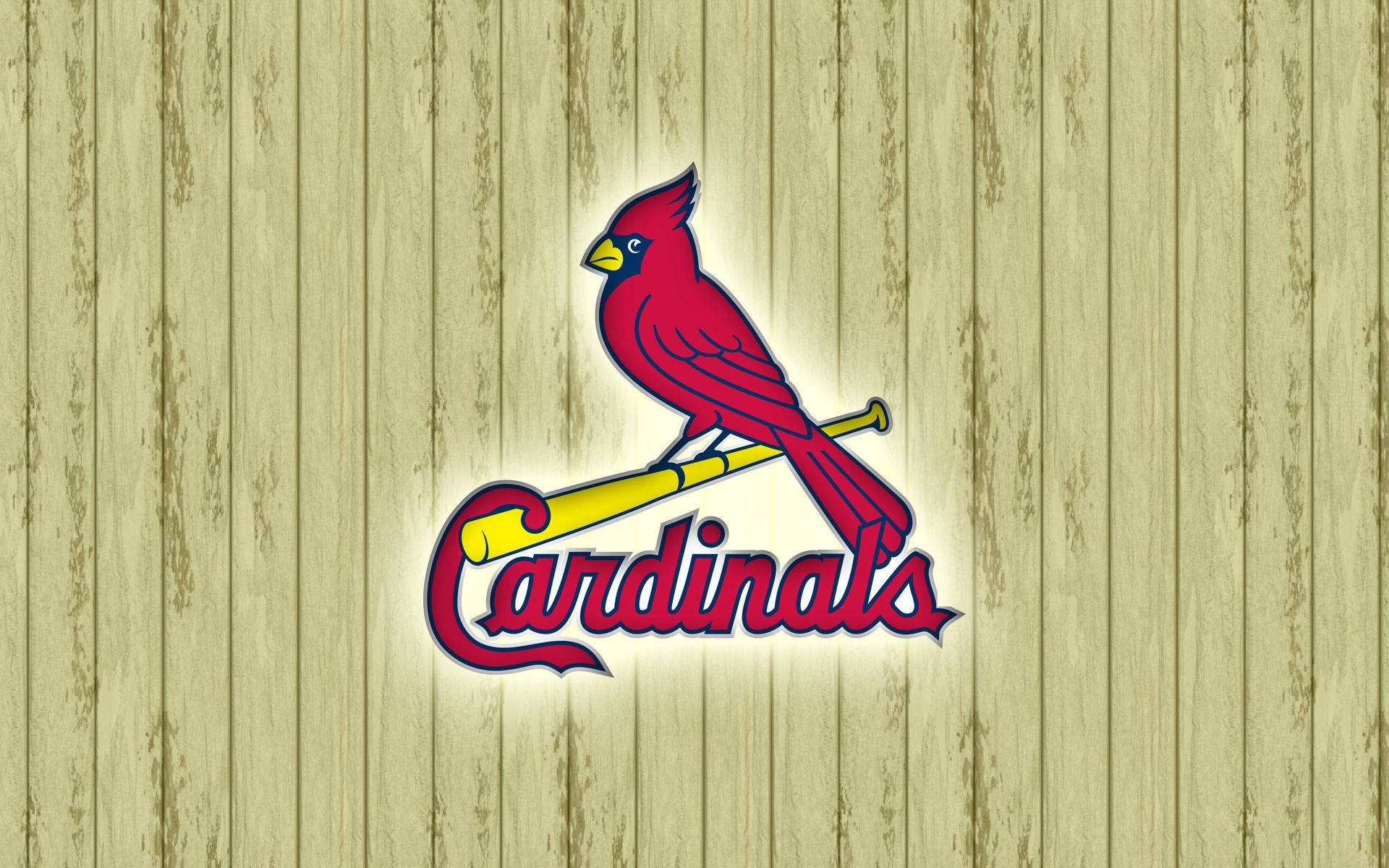 Cardinals 桌布 壁紙 — 一隻鮮紅色的紅雀棲息在黃色棒球棒上，下方寫有「Cardinals」字樣，背景是風化的木板。