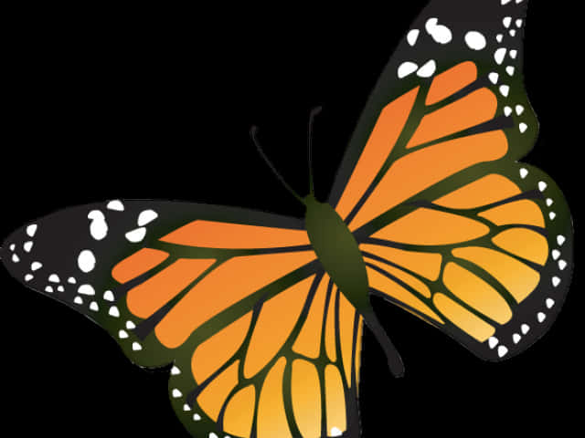 Monarch Butterfly 桌布 壁紙 — 一隻鮮豔的帝王斑蝶，帶有橙黃色翅膀和黑色脈絡，在純黑背景下飛翔。