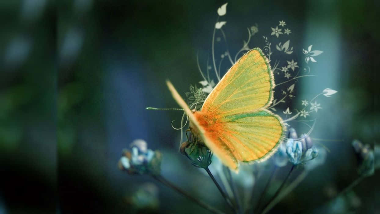 Butterfly Photography 桌布 壁紙 — 一隻鮮豔的橙色和綠色蝴蝶優雅地停在一朵花上，周圍飄浮著空靈的白色花卉漩渦。