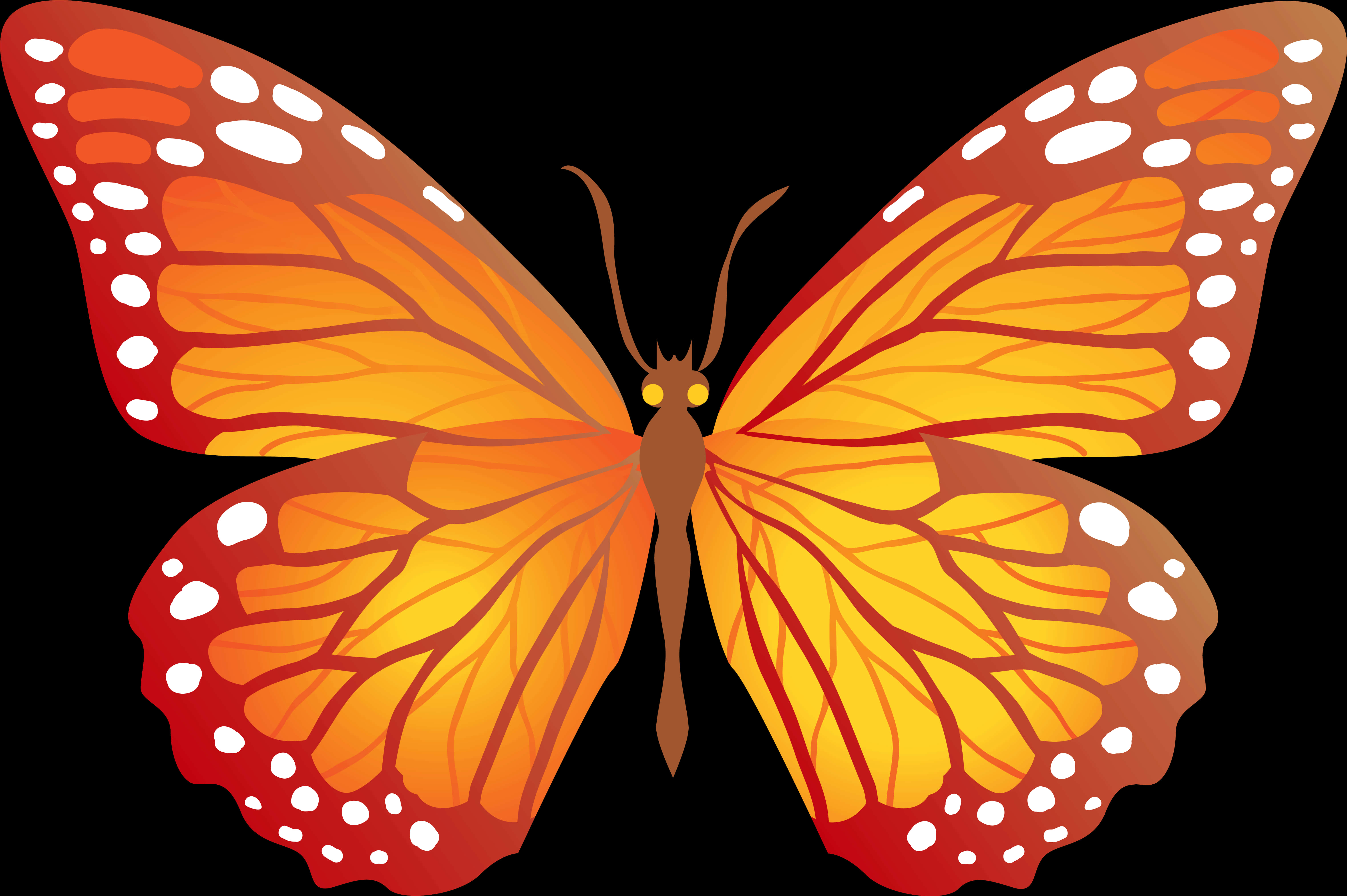 Butterflies 桌布 壁紙 — 一隻鮮豔的橙色帝王蝶，帶有白色斑點和紅色邊緣，在純黑背景上展開翅膀。