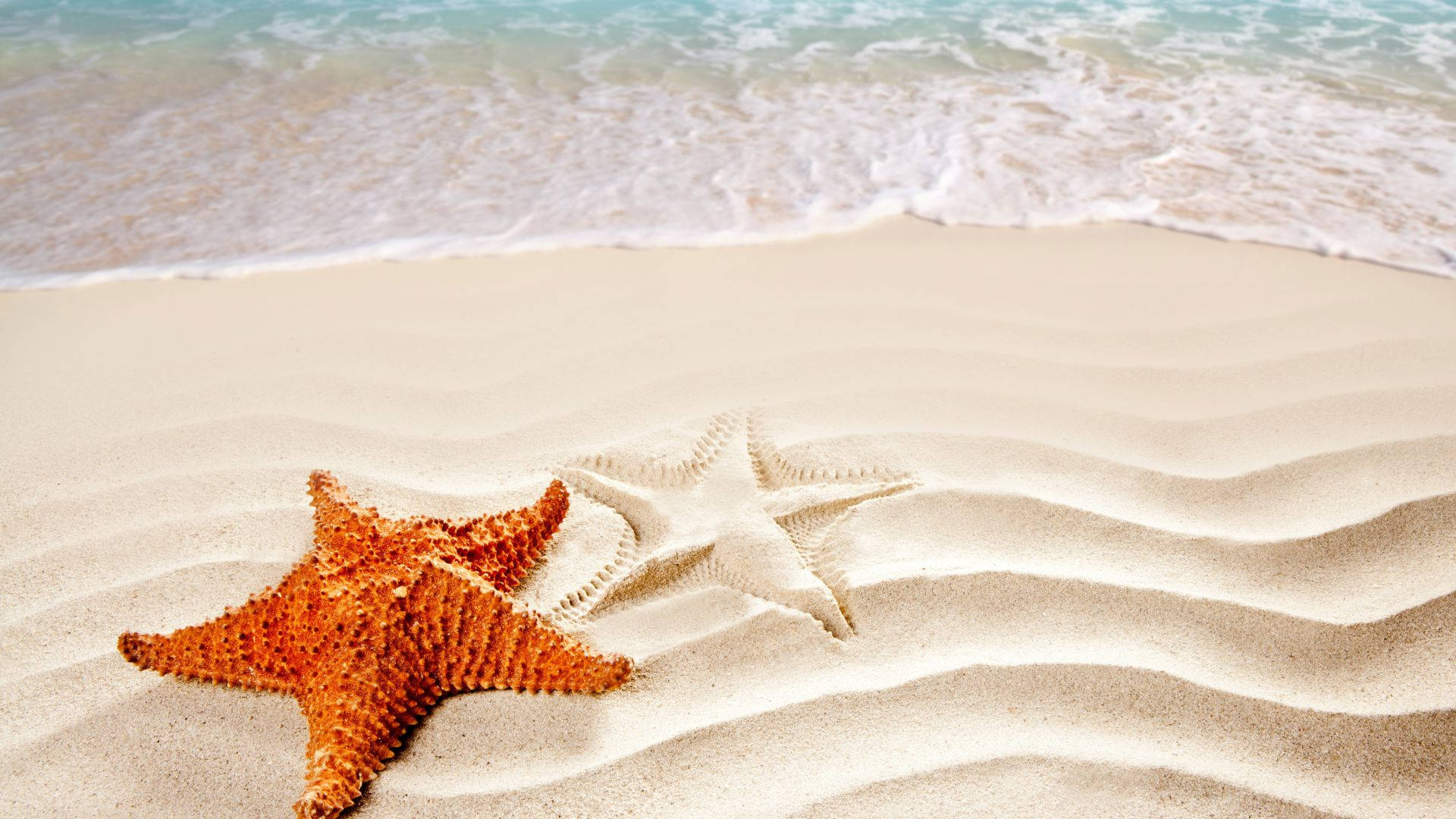 Starfish 桌布 壁紙 — 一隻鮮豔的橙色海星躺在波紋狀的沙灘上，溫柔的海浪帶著泡沫般的白色邊緣翻滾而來。