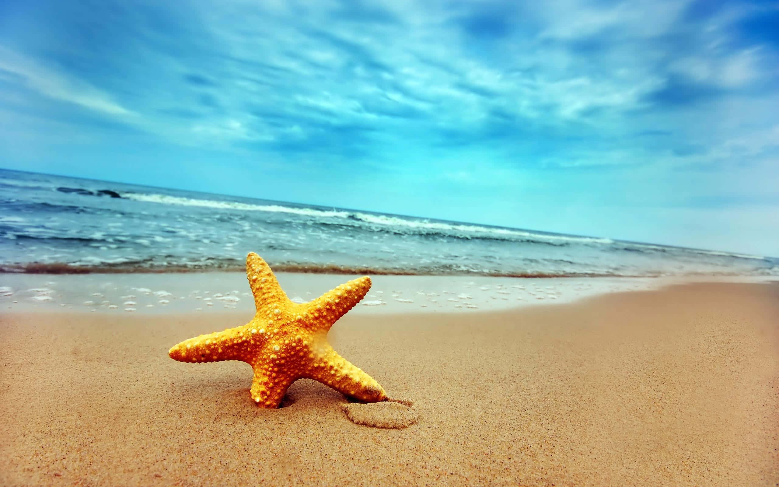 海灘桌面 桌布 壁紙 — 一隻鮮豔的橙色海星躺在濕潤的金色沙灘上，溫柔的海浪在明亮的藍天和薄雲下翻滾。