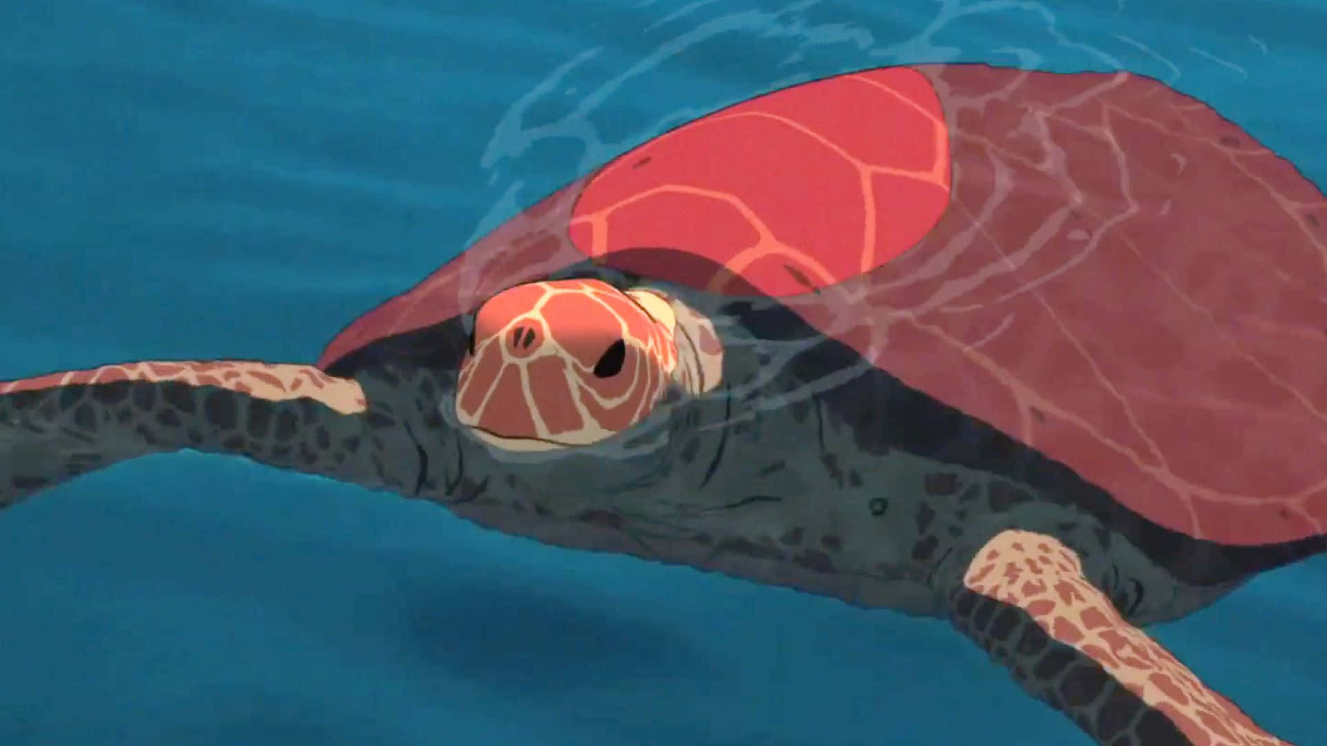 The Red Turtle 桌布 壁紙 — 一隻鮮豔的紅灰色海龜在清澈的藍色海水中優雅地滑行，帶有輕柔的漣漪。
