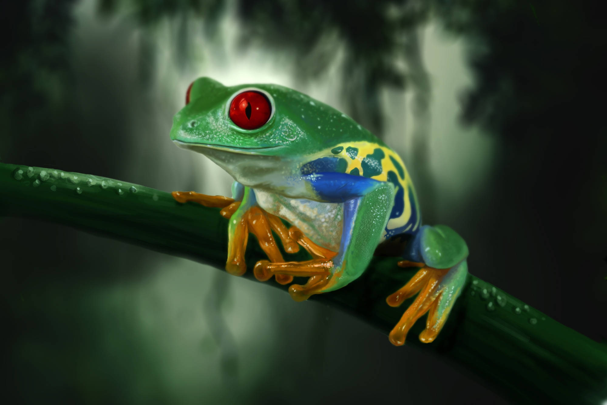 Frog 桌布 壁紙 — 一隻鮮豔的紅眼樹蛙棲息在沾滿露水的綠色樹枝上，背景是霧氣瀰漫的叢林。