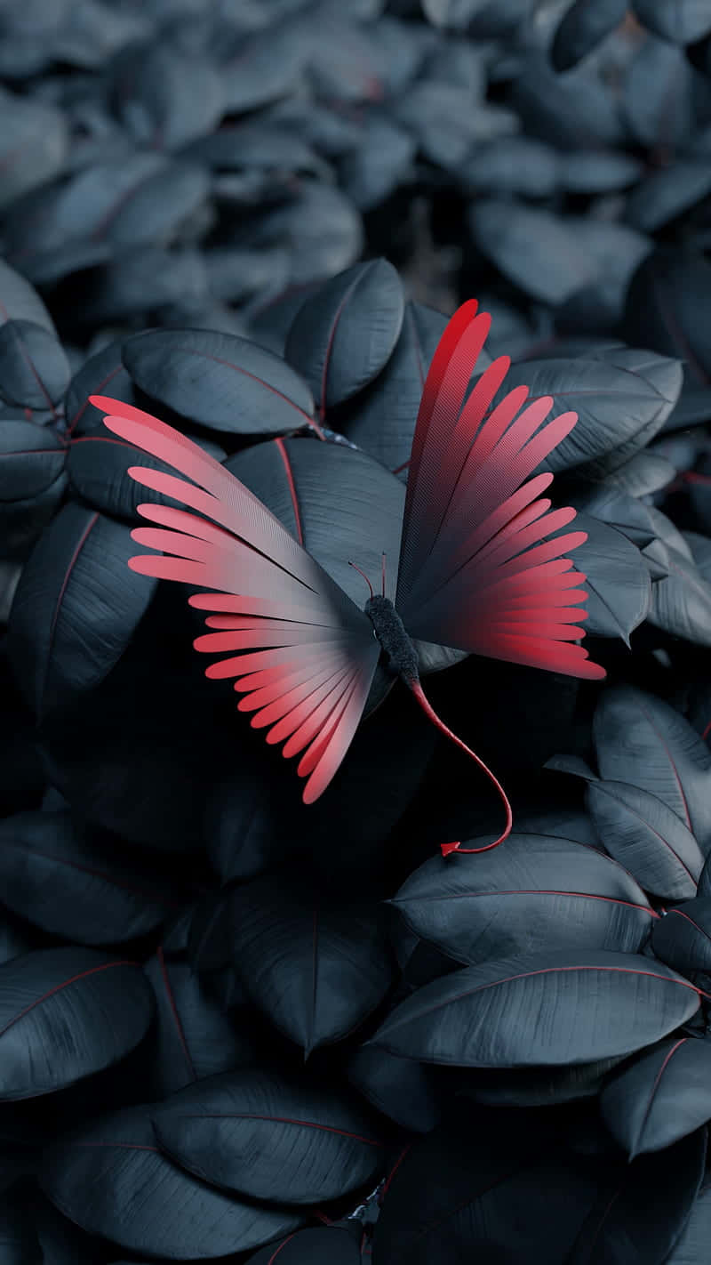 Red Butterfly 桌布 壁紙 — 一隻鮮豔的紅粉蝴蝶，帶有羽毛狀翅膀，停在帶有紅色葉脈的深藍色葉子上。