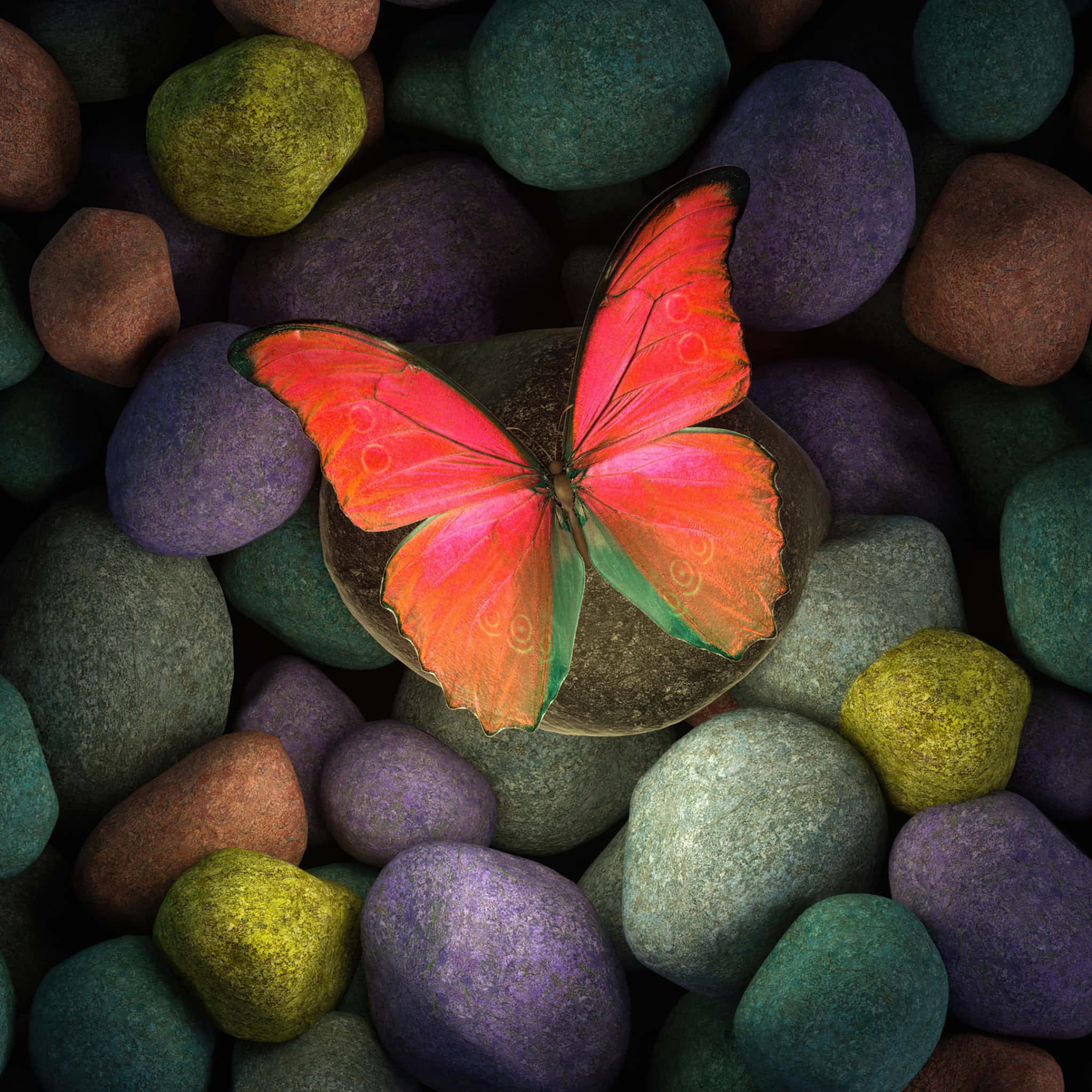 Butterflies 桌布 壁紙 — 一隻鮮豔的紅綠蝴蝶停在一塊光滑的石頭上，周圍是色彩繽紛的鵝卵石，呈現豐富的大地色調。