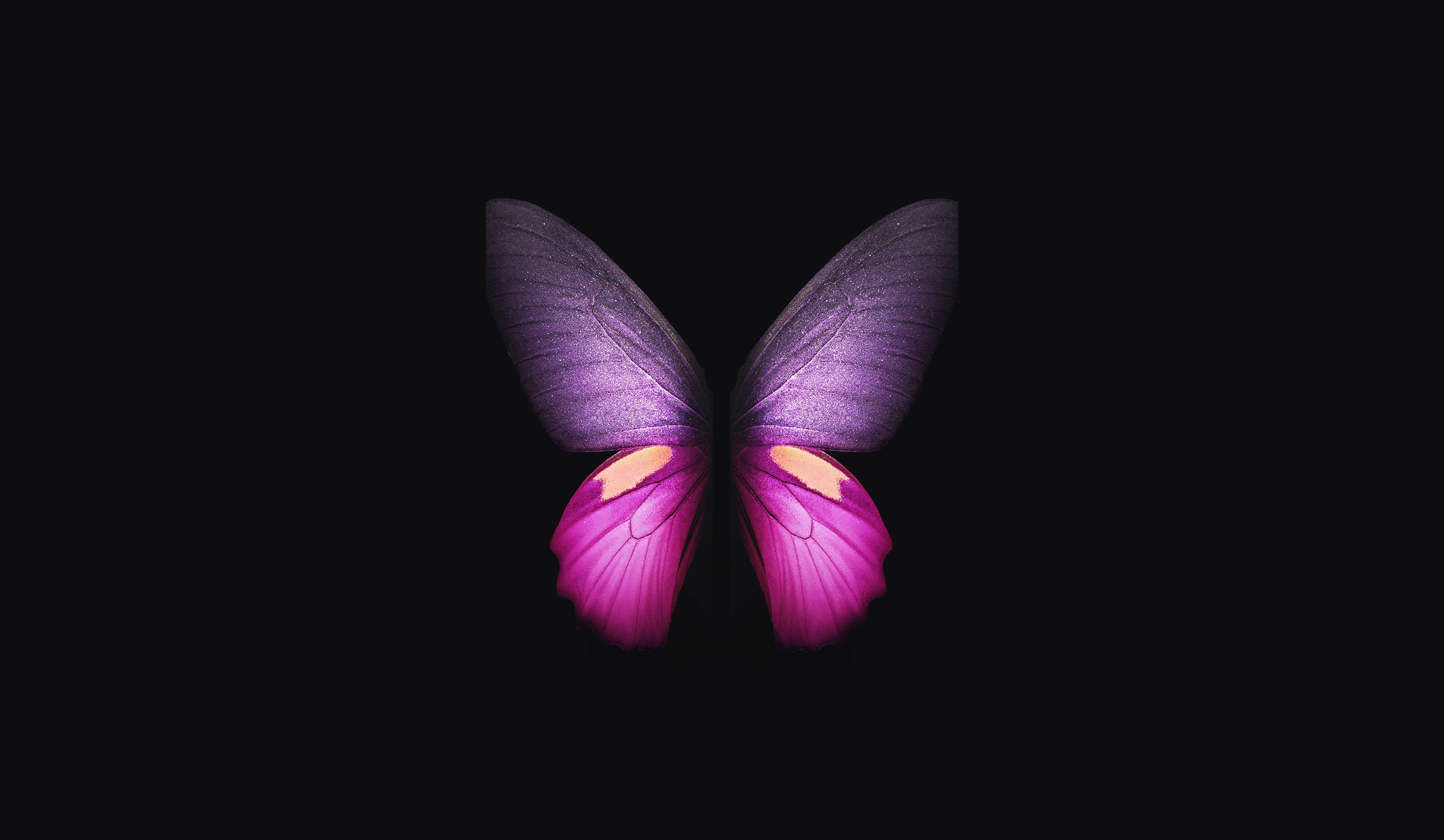 purple butterfly phone 桌布 壁紙 — 一隻鮮豔的紫色和粉紅色蝴蝶，帶有發光的翅膀，位於純黑色背景中央。