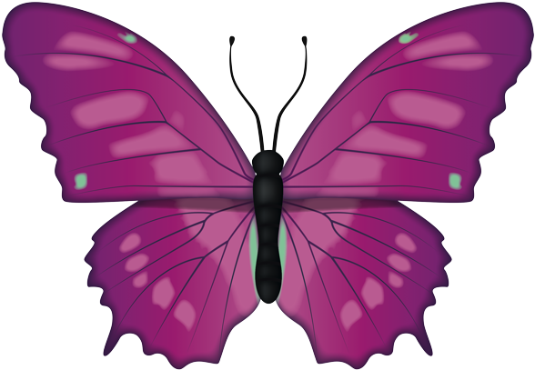 Butterfly Transparent 桌布 壁紙 — 一隻鮮豔的紫色蝴蝶，帶有藍綠色點綴和詳細的翅脈，在純黑色背景上呈現。