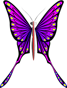 Butterfly Wings 桌布 壁紙 — 一隻鮮豔的紫色蝴蝶，帶有黃色斑點和長尾狀後翅，背景為柔和的青綠色。