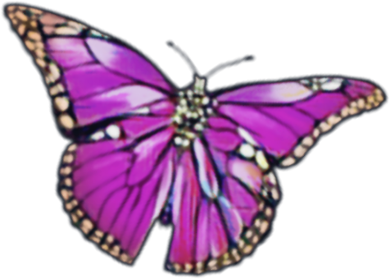 Butterfly Transparent 桌布 壁紙 — 一隻鮮豔的紫色蝴蝶，翅膀鑲有金邊，在純黑背景上發光。
