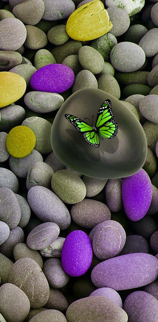 Green Butterfly 桌布 壁紙 — 一隻鮮豔的綠色蝴蝶停在一塊光滑的深色石頭上，周圍是色彩繽紛的紫色、黃色和灰色鵝卵石。
