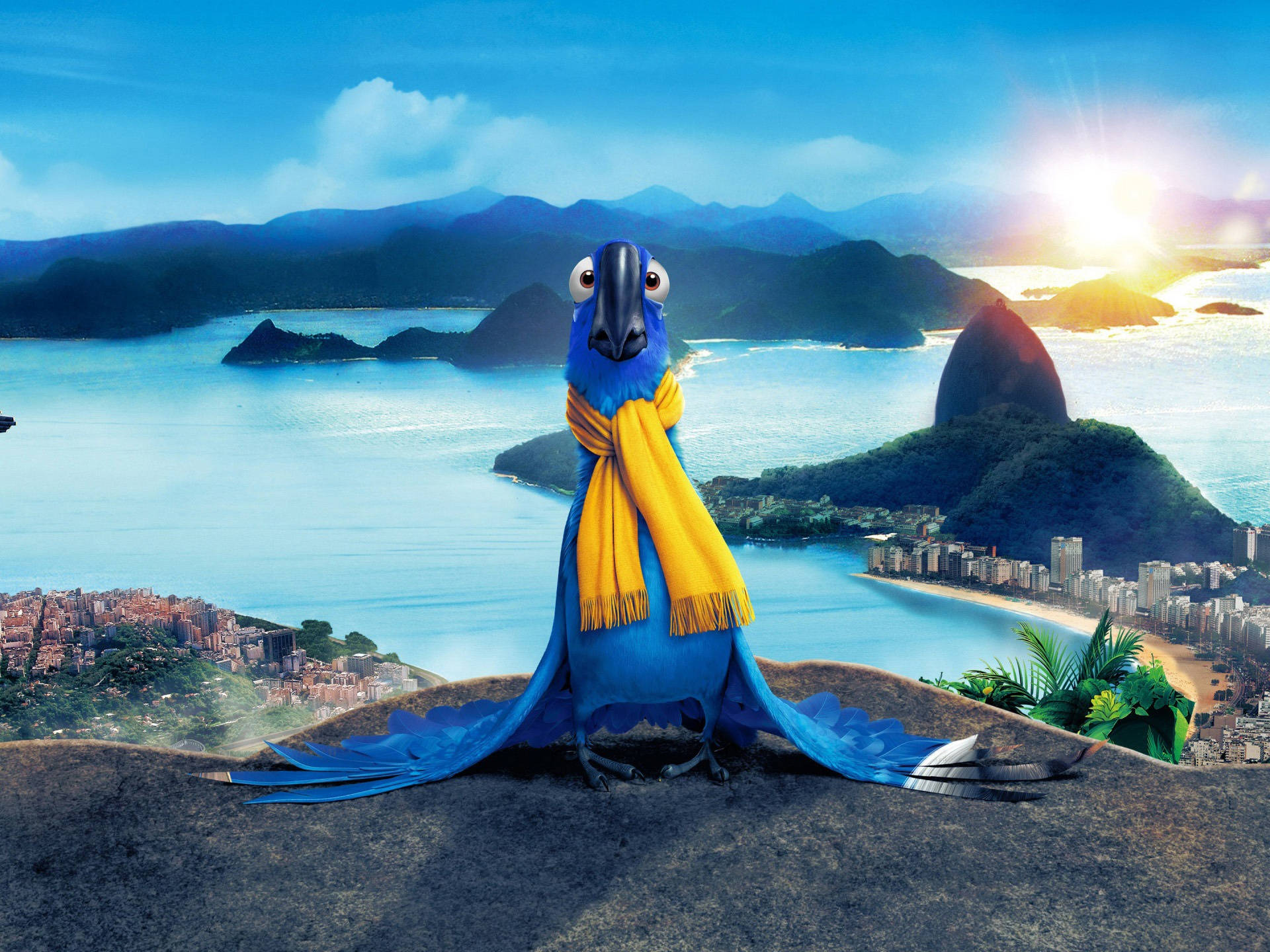 rio 桌布 壁紙 — 一隻鮮豔的藍色動畫金剛鸚鵡戴著黃色圍巾，棲息在俯瞰里約熱內盧日落的山岩上。