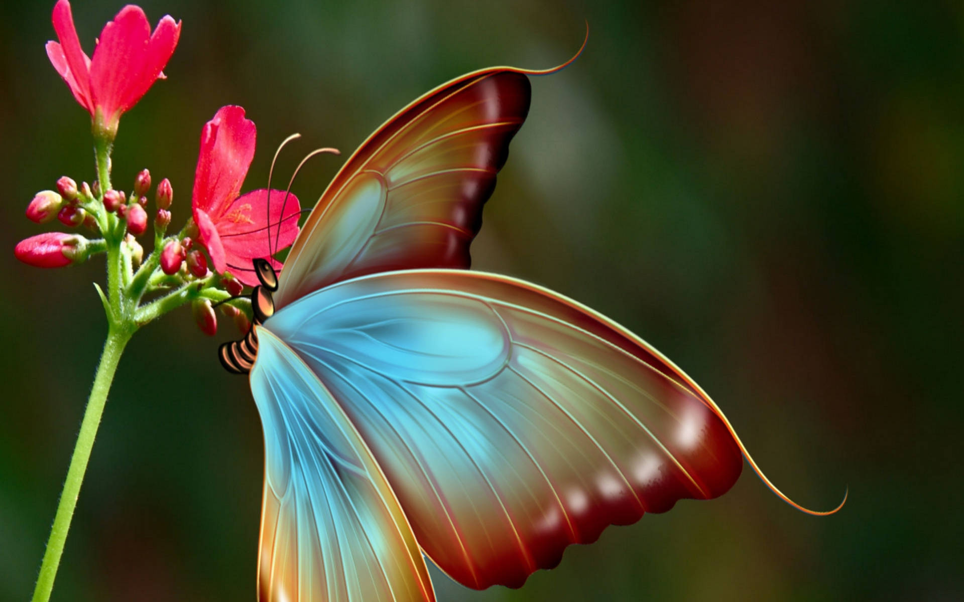 粉紅蝴蝶 桌布 壁紙 — 一隻鮮豔的藍色和橙色蝴蝶，輕輕地停在一朵亮粉色的花上，背景是柔和的模糊綠色。