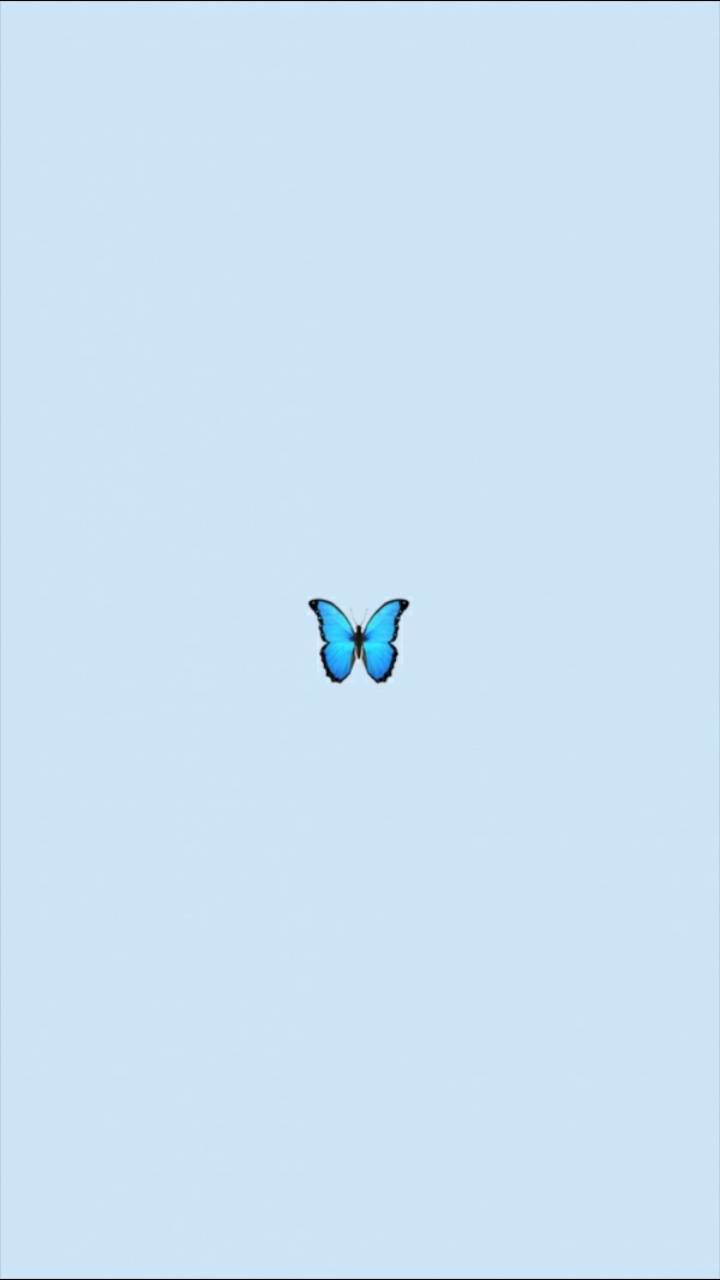 Vsco 桌布 壁紙 — 一隻鮮豔的藍色蝴蝶靜止在柔和的粉藍色漸變背景中央。