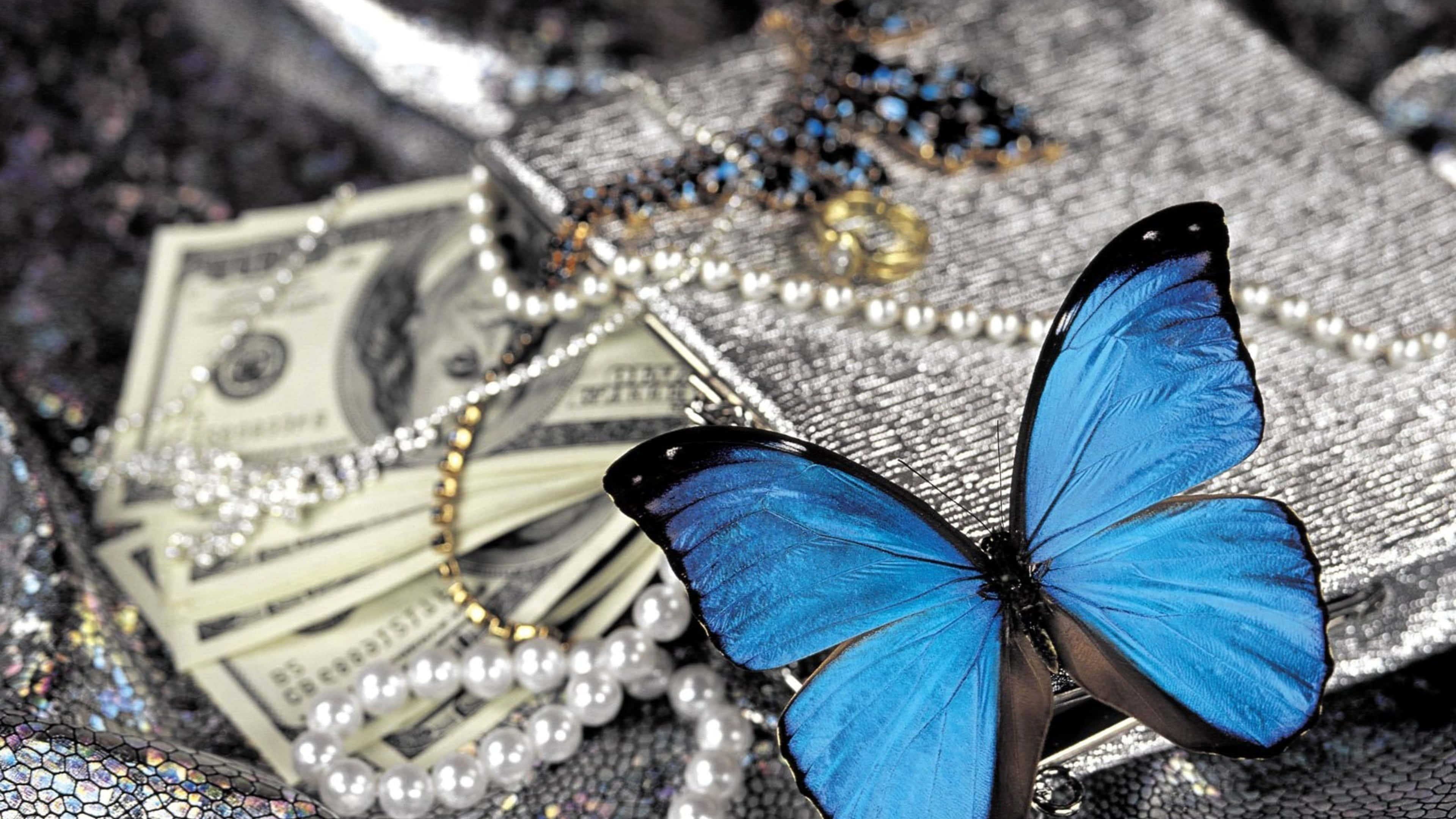 藍色蝴蝶 桌布 壁紙 — 一隻鮮豔的藍色閃蝶停在一堆現金、珍珠和珠寶上，下方是閃閃發光的銀色布料。