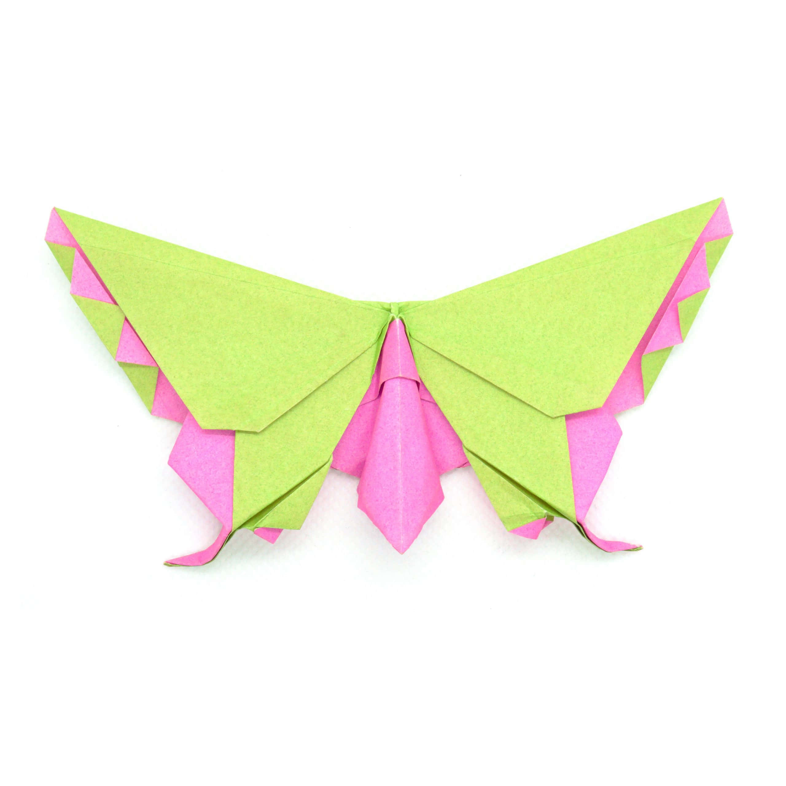 Butterfly Origami 桌布 壁紙 — 一隻鮮豔的青檸綠色和粉紅色的摺紙蝴蝶，帶有扇貝形翅膀，放在潔白的背景上。