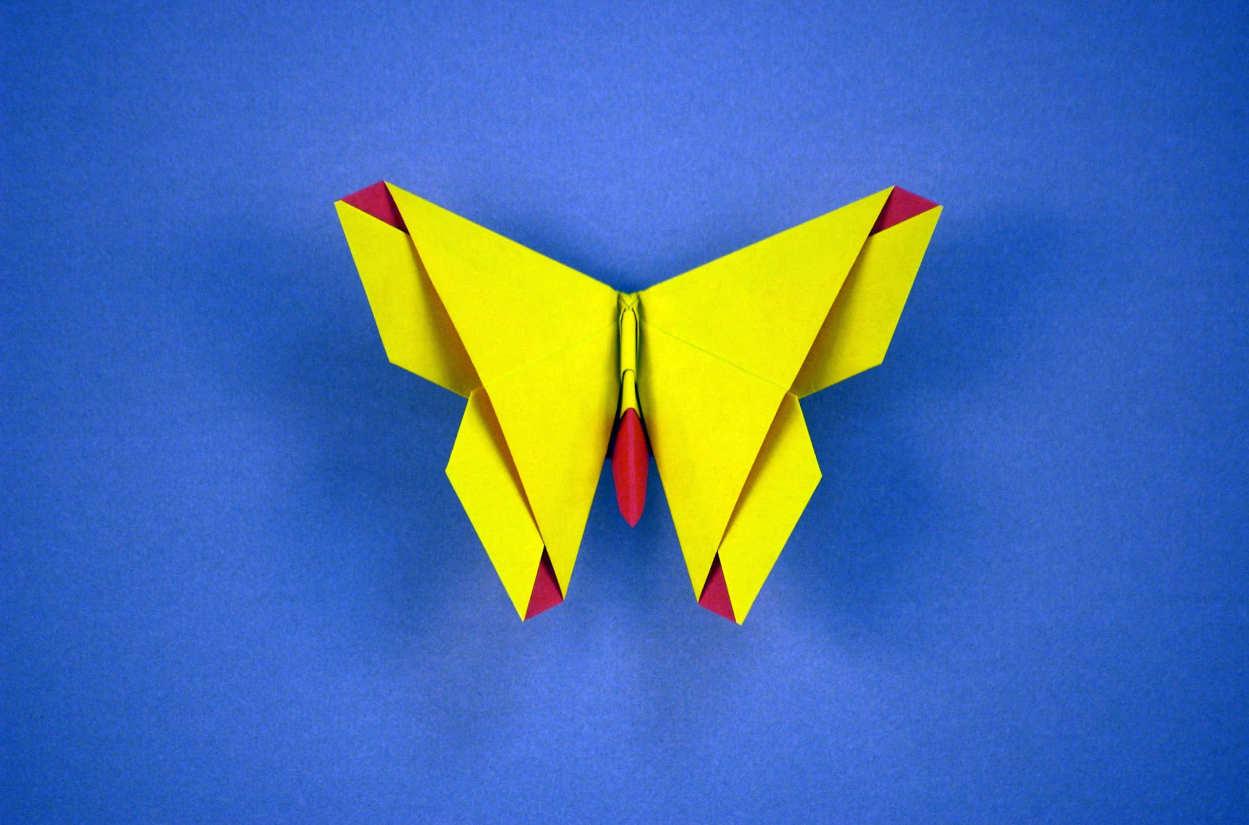 Butterfly Origami 桌布 壁紙 — 一隻鮮黃色帶紅色點綴的摺紙蝴蝶，放在純藍色背景上。