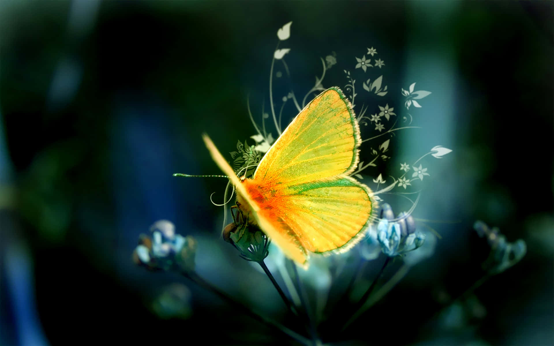 Butterfly Art 桌布 壁紙 — 一隻鮮黃色帶綠色邊緣的蝴蝶，在柔和模糊的綠色和藍色背景下，優雅地停在一朵花上。