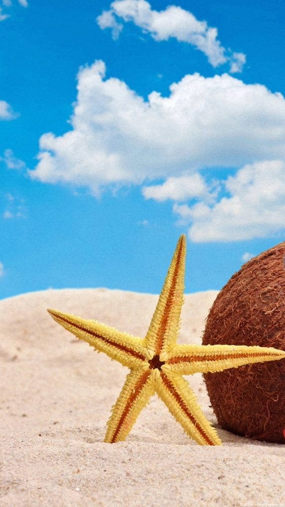 海灘 iPhone 桌布 壁紙 — 一隻鮮黃色海星在細沙上休息，旁邊有一個棕色椰子，背景是蔚藍天空和 fluffy 白雲。