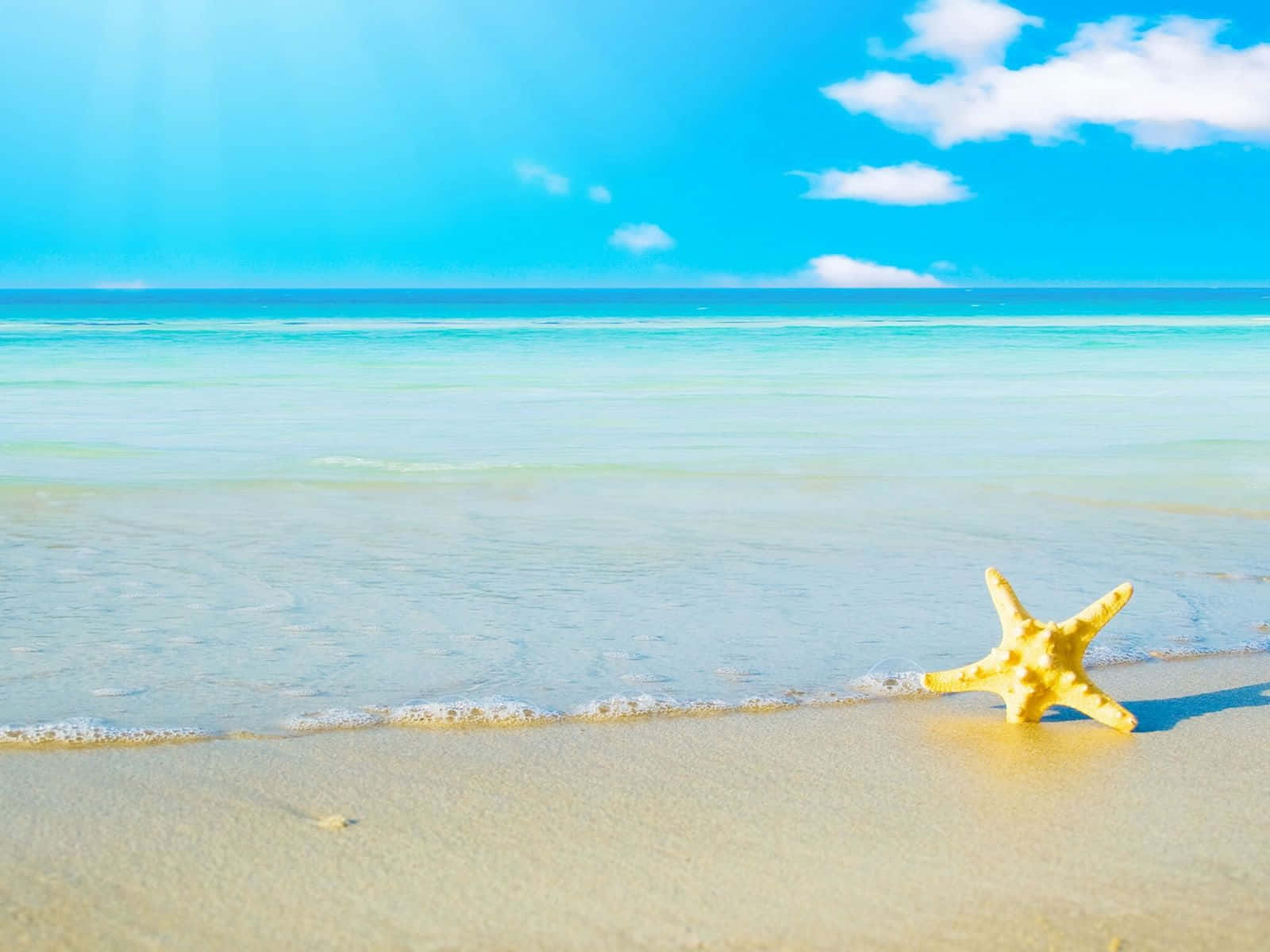 Beach Scene 桌布 壁紙 — 一隻鮮黃色海星在陽光普照的沙灘上休息，位於海洋邊緣，天空湛藍清澈，飄著蓬鬆的白雲。