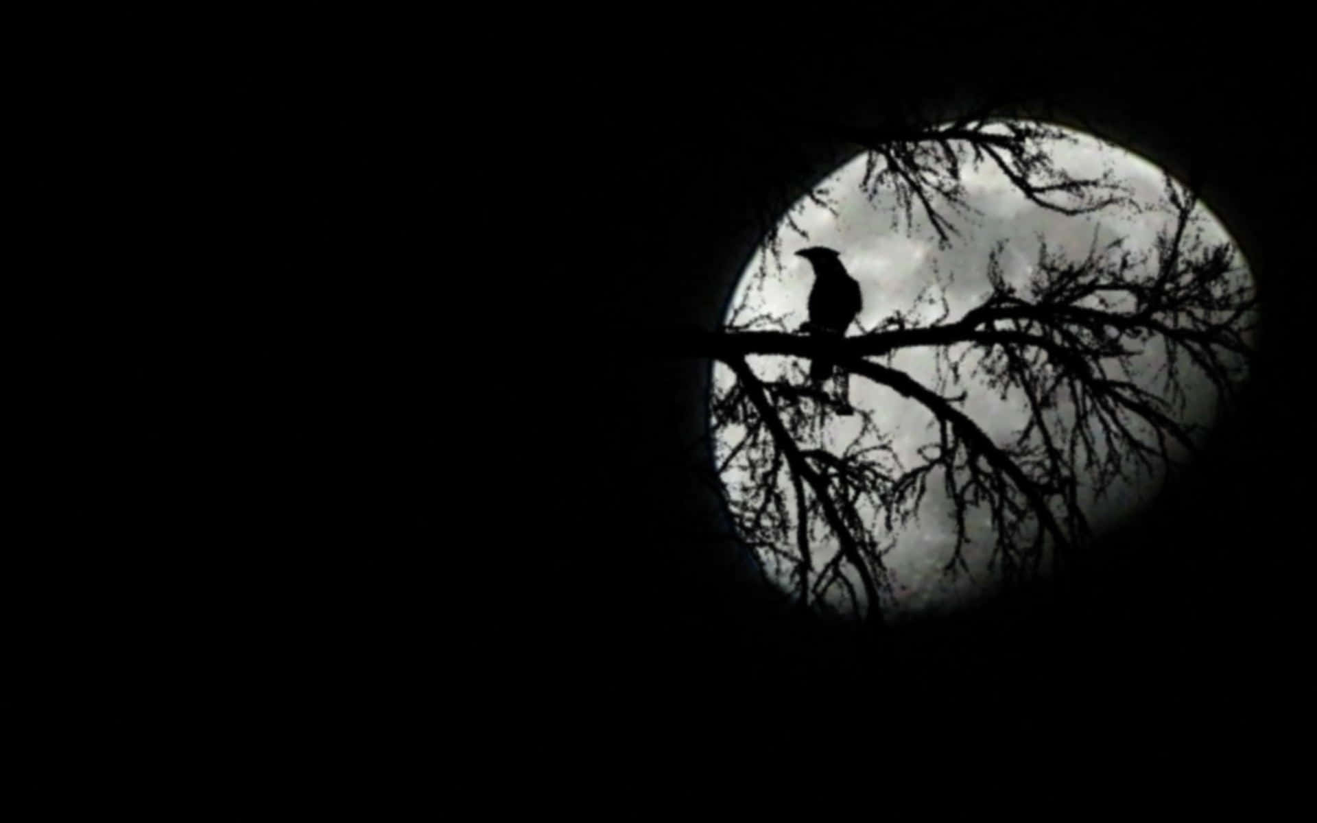 Pretty Moon 桌布 壁紙 — 一隻鳥在光禿禿的樹枝上形成剪影，透過黑暗的圓形開口框住多雲的滿月。