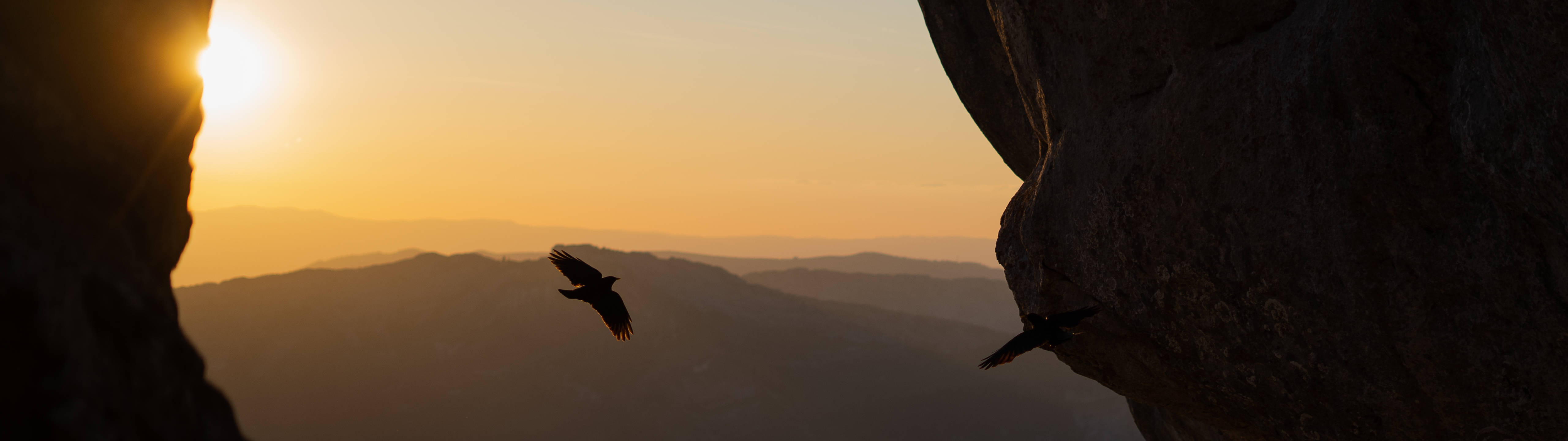 2 Monitor 桌布 壁紙 — 一隻鳥在聳立的岩層之間翱翔，夕陽在遠處山脊後落下。