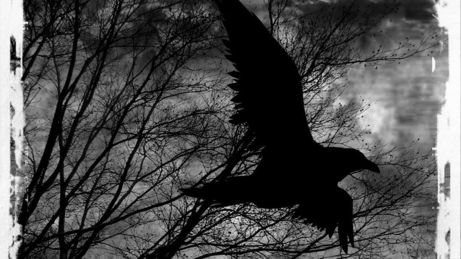 Raven 桌布 壁紙 — 一隻鳥在飛行中的清晰黑色剪影，從光禿的樹枝中浮現，背景是帶有紋理的單色天空。